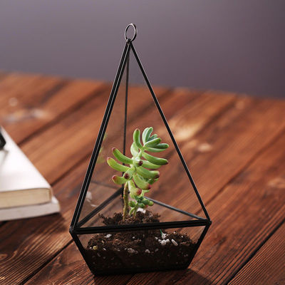 De met de hand gemaakte van het de Desktopglas van Glashomeware Onregelmatige Diamantvormige Planter van Terrarium leverancier