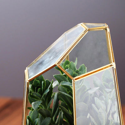 Grote Terrarium-Hexagon de Planterscontainer van Glashomeware voor Succulente Installatie leverancier