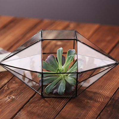 Diamantvormige Duidelijke Glasvaas, Duurzame Geometrische Terrarium-Glasvazen leverancier